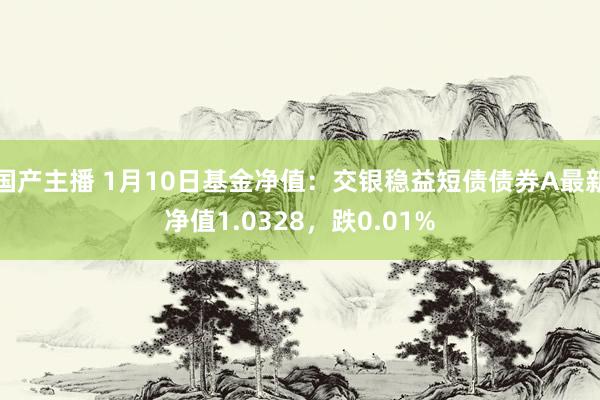 国产主播 1月10日基金净值：交银稳益短债债券A最新净值1.0328，跌0.01%