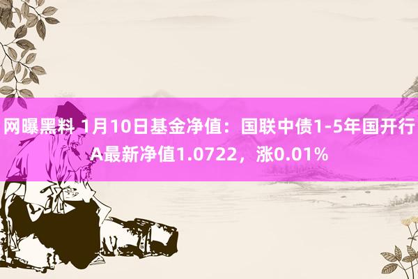 网曝黑料 1月10日基金净值：国联中债1-5年国开行A最新净值1.0722，涨0.01%