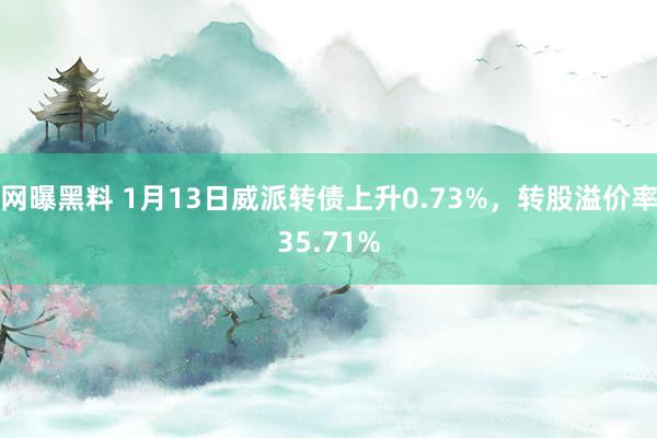 网曝黑料 1月13日威派转债上升0.73%，转股溢价率35.