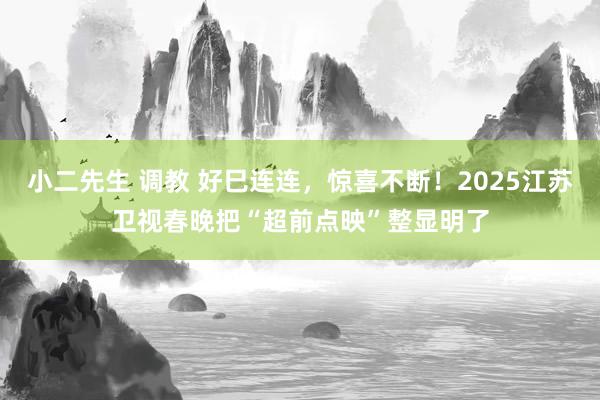 小二先生 调教 好巳连连，惊喜不断！2025江苏卫视春晚把“超前点映”整显明了