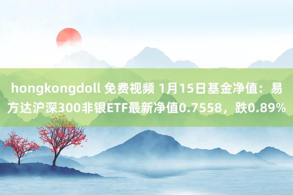 hongkongdoll 免费视频 1月15日基金净值：易方