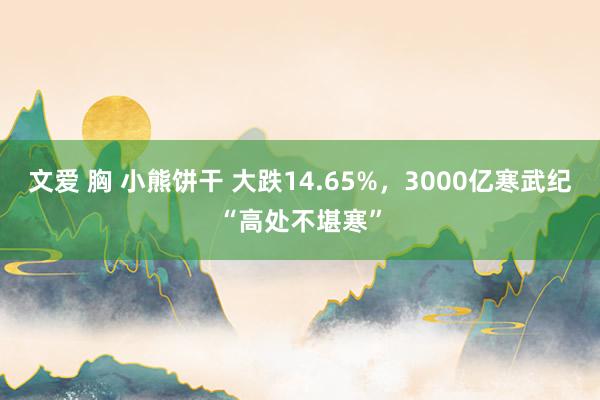 文爱 胸 小熊饼干 大跌14.65%，3000亿寒武纪“高处不堪寒”